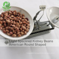 Cranberry Beans Light Speckled Kidney Beans